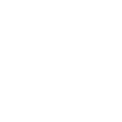 Dub Culture